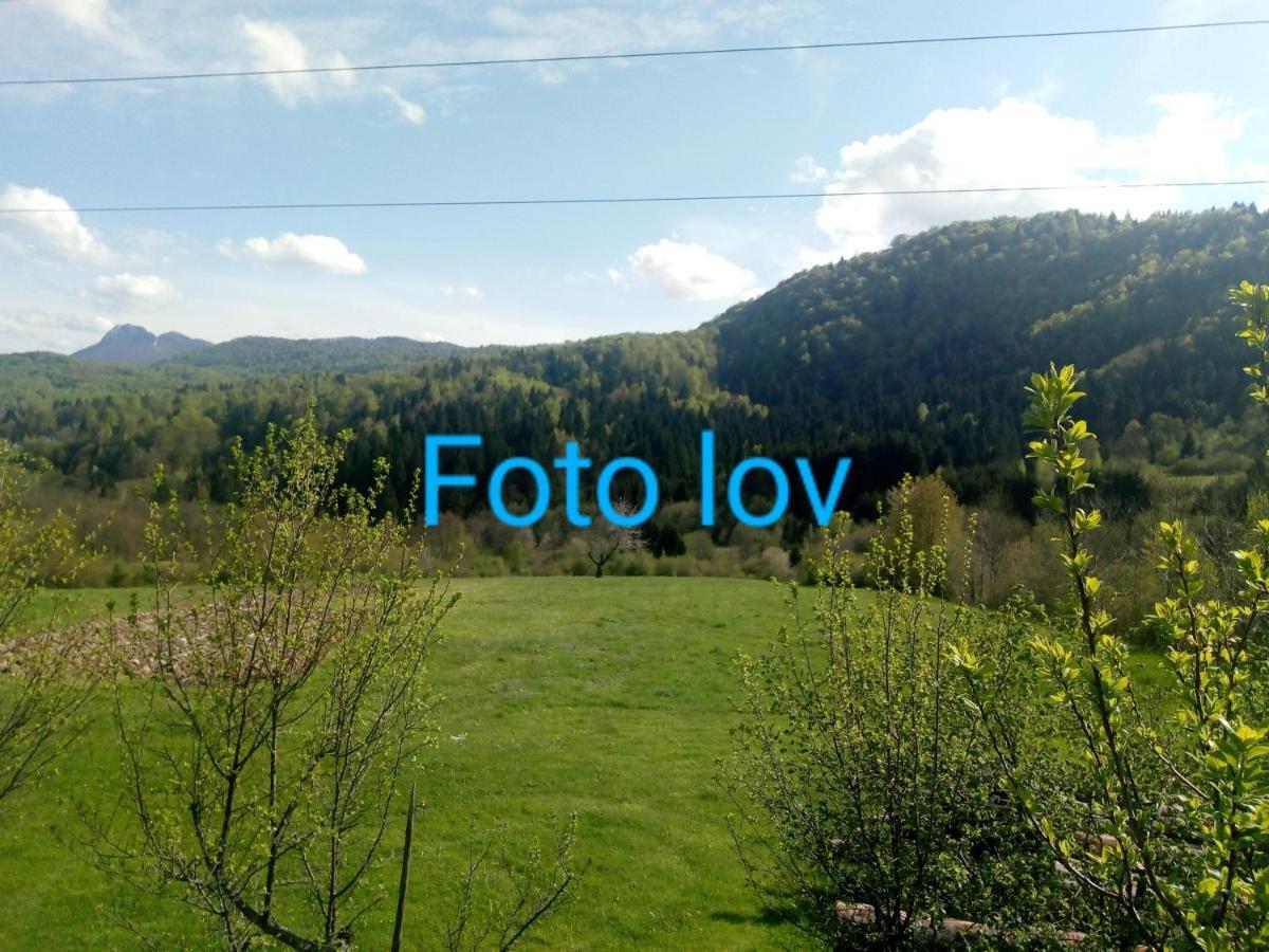 Apartman Gomirje Vrbovsko Exterior photo